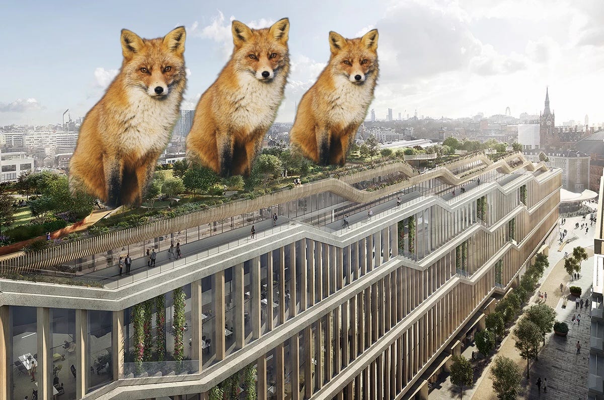 Vulpile sunt noii șefi britanici ai Google