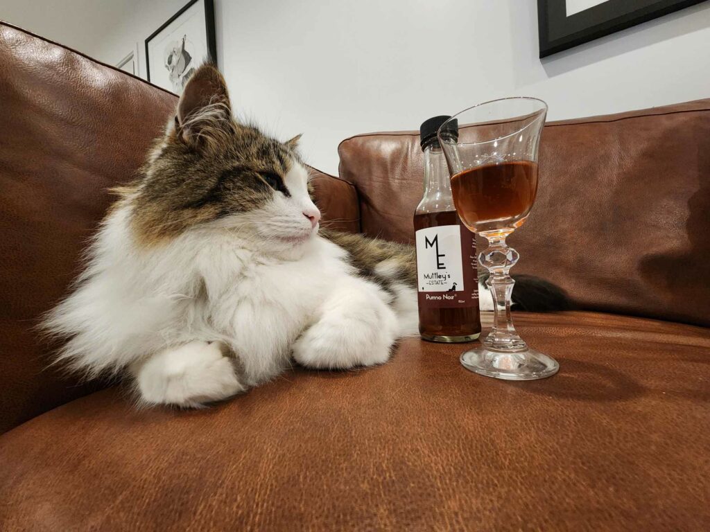 La un pahar de vin cu animăluțele?