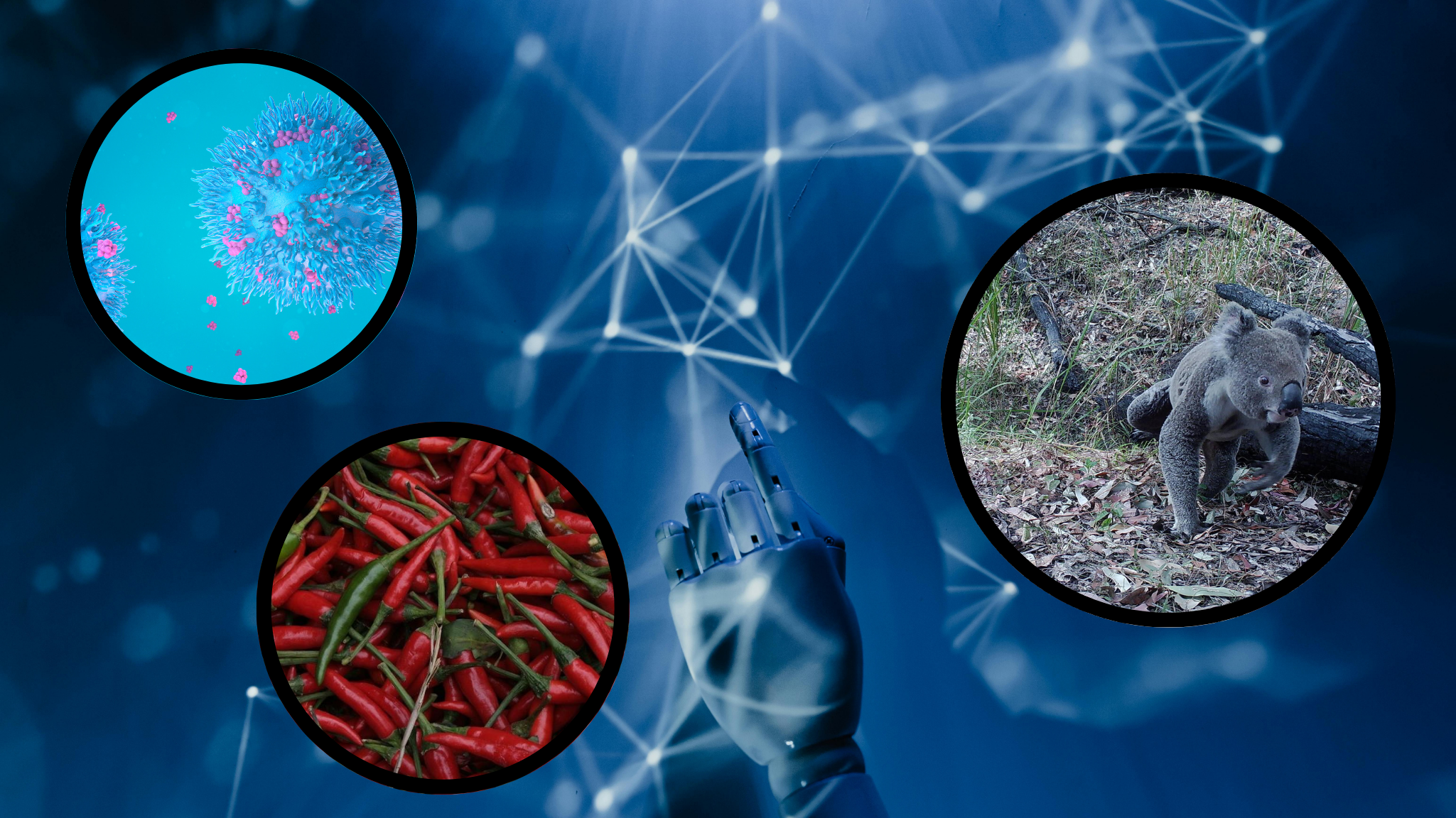 Inteligența artificială dincolo de ChatGPT și Gemini