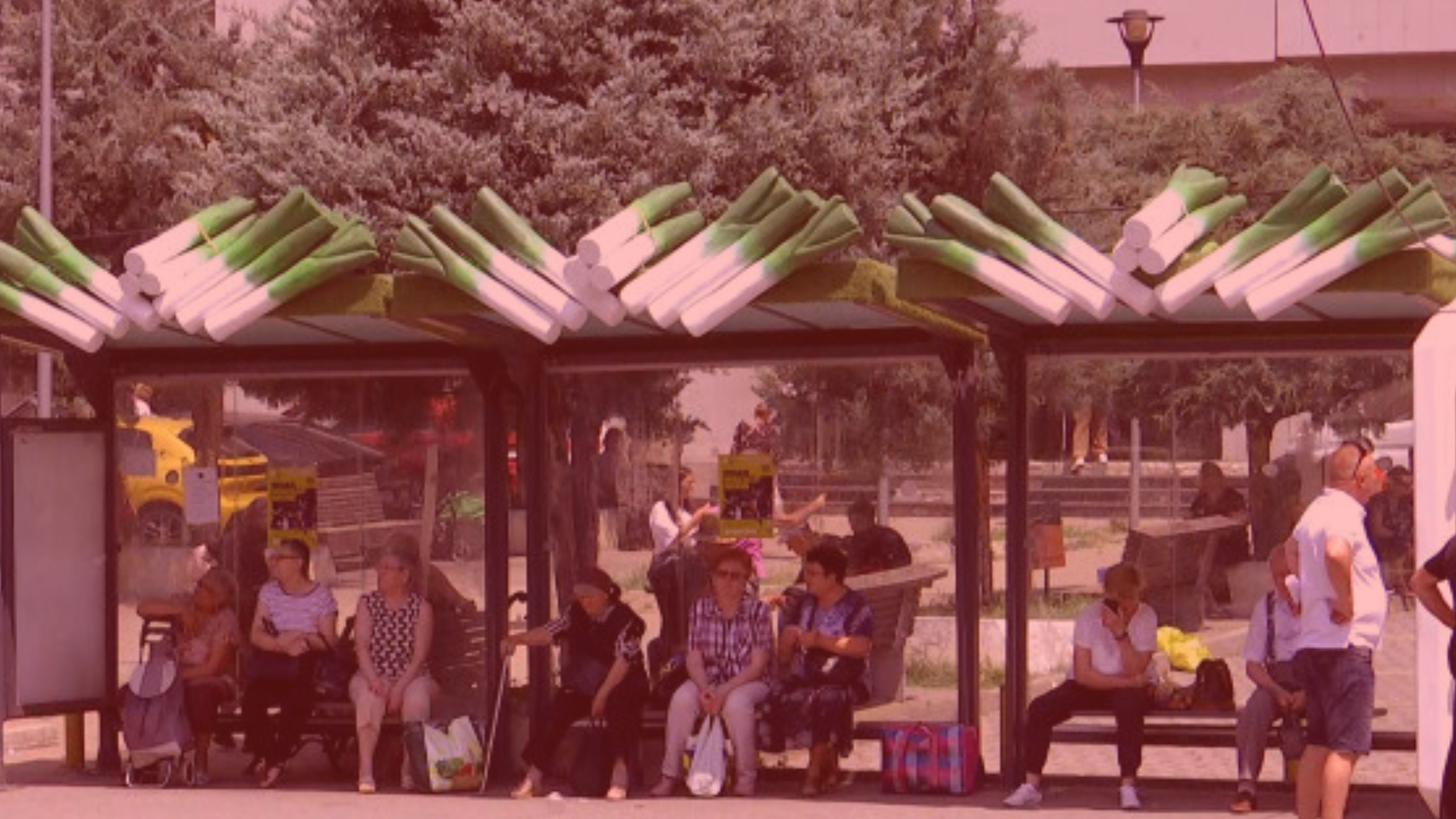 Stațiile de autobuz s-au copt bine vara asta!