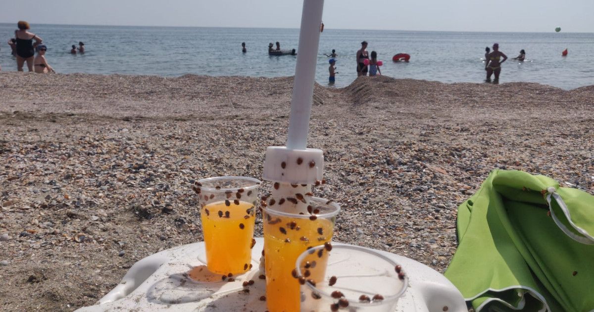 Mai are sens să mai mergi la mare?