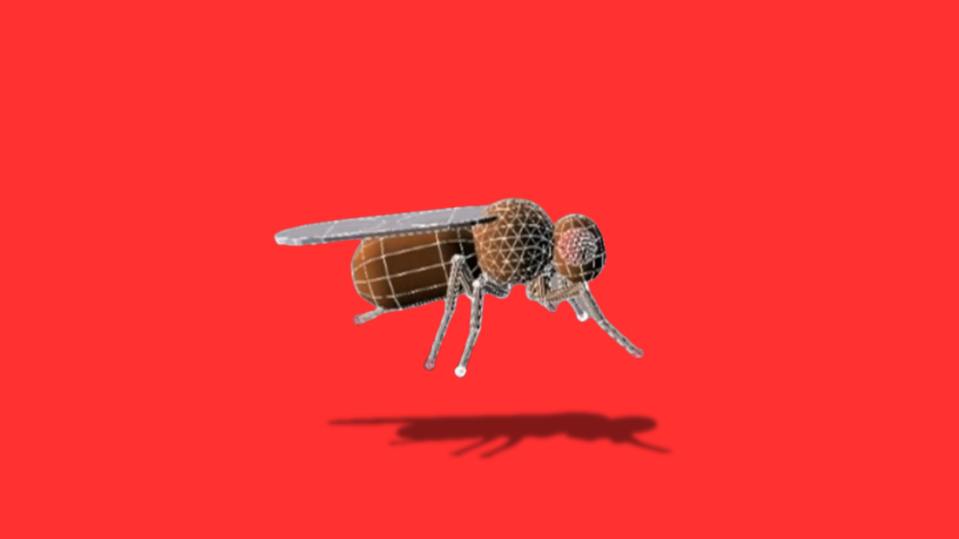 Te pișcă sau te spionează? Musca-robot inventată de China