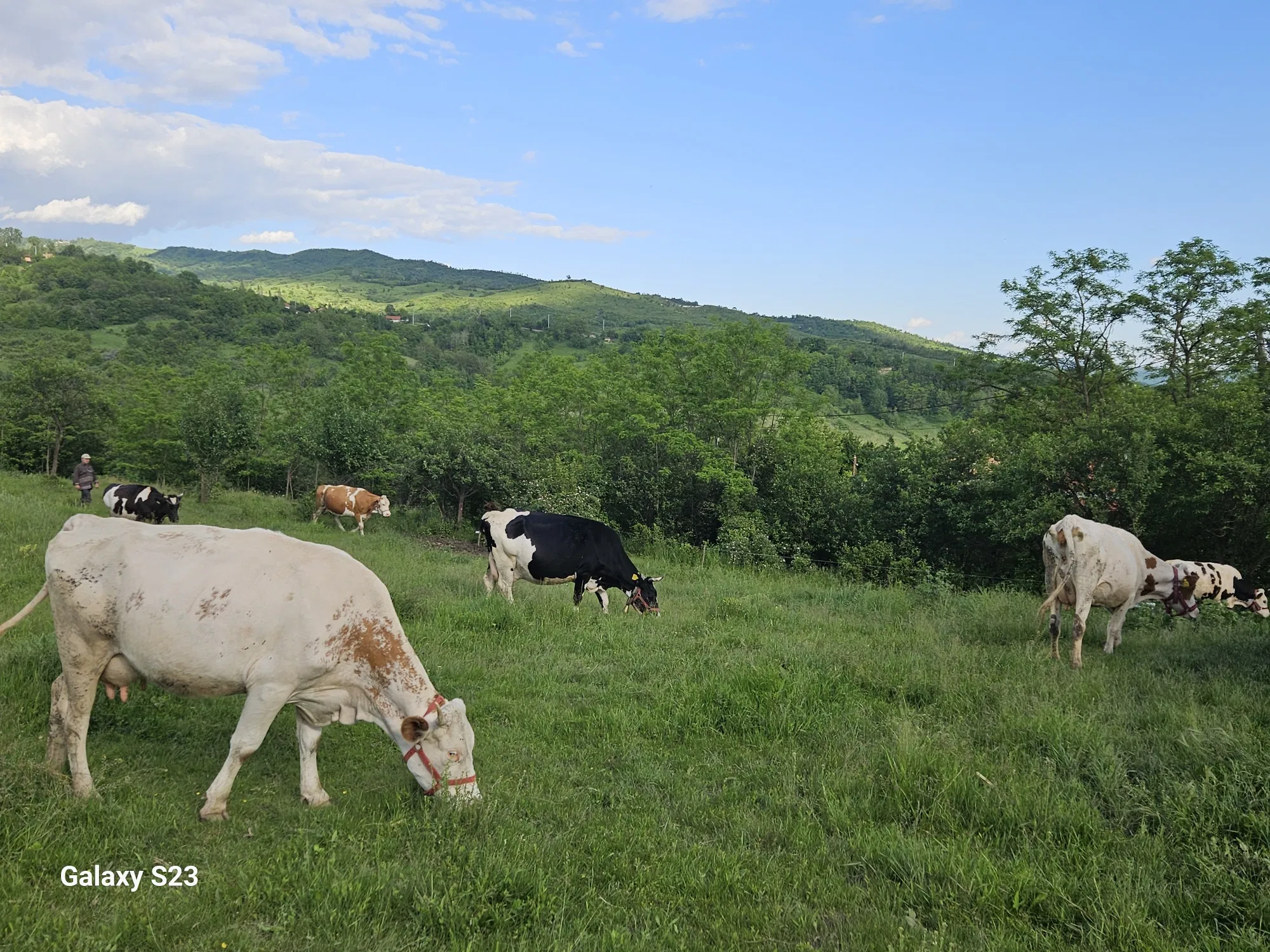 Unde să-ți cumperi teren ca să faci bani? Lângă o autostradă!