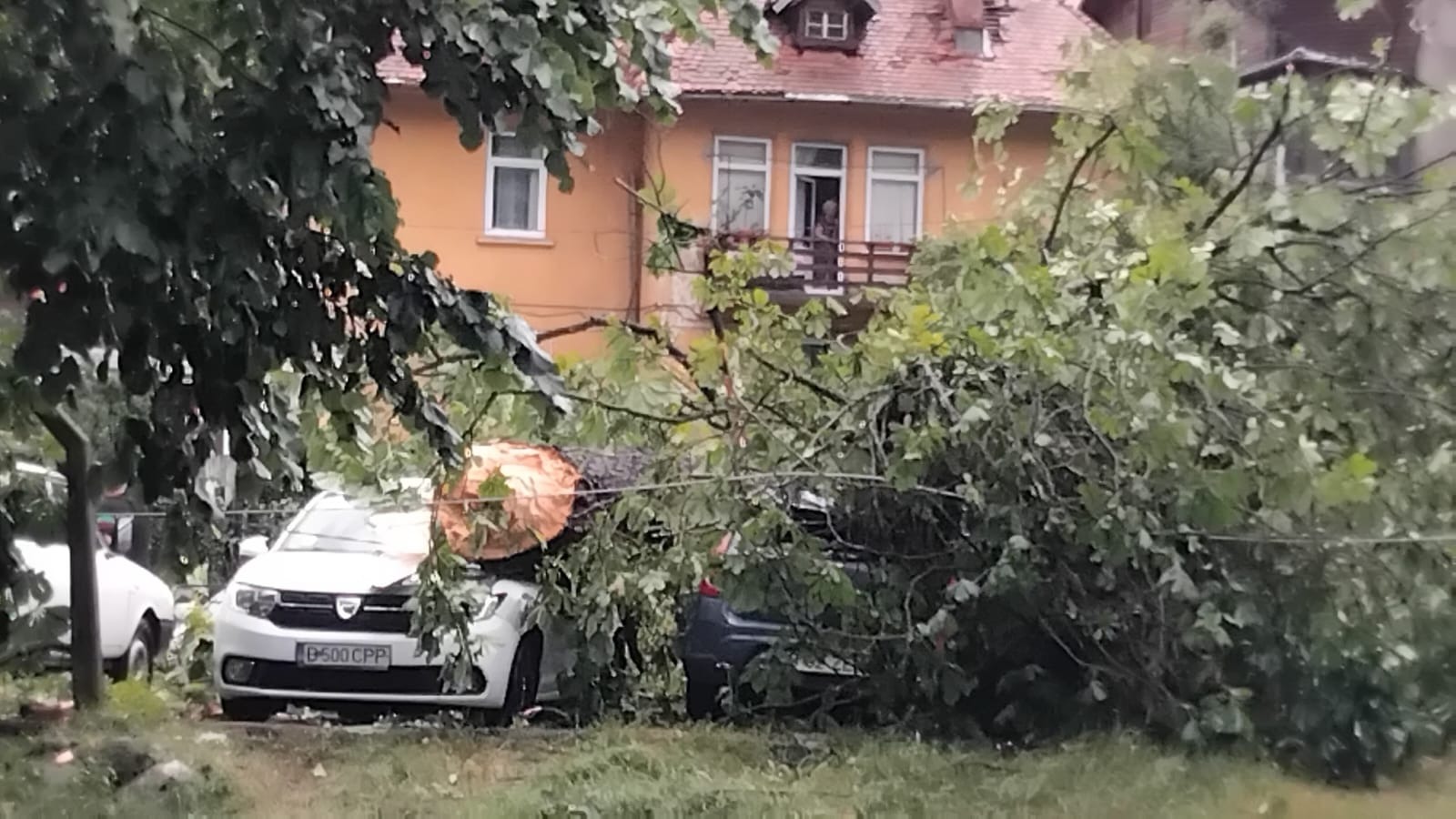 Furtună violentă la Sinaia: acoperișuri smulse, copaci căzuți și patru persoane rănite ușor