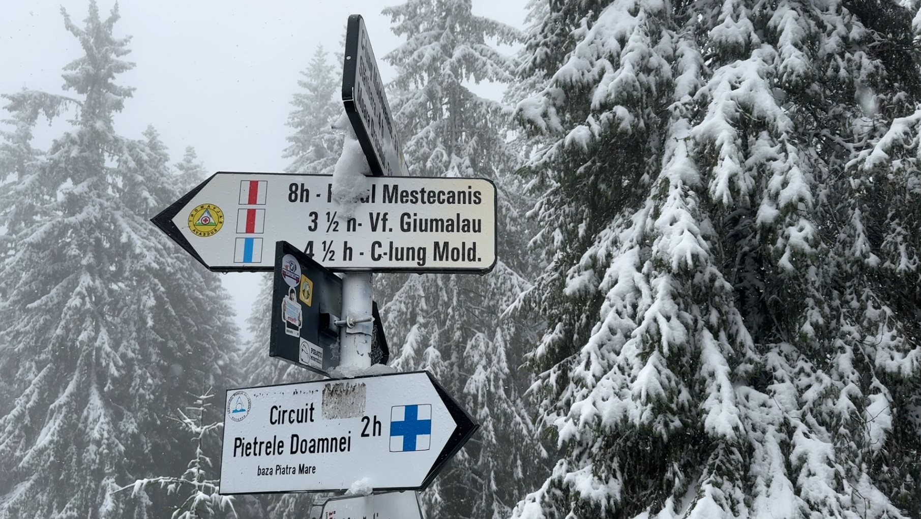 A nins ca-n povești în România: Transfăgărășanul e acoperit de zăpadă, iar mai multe zone montane s-au albit peste noapte