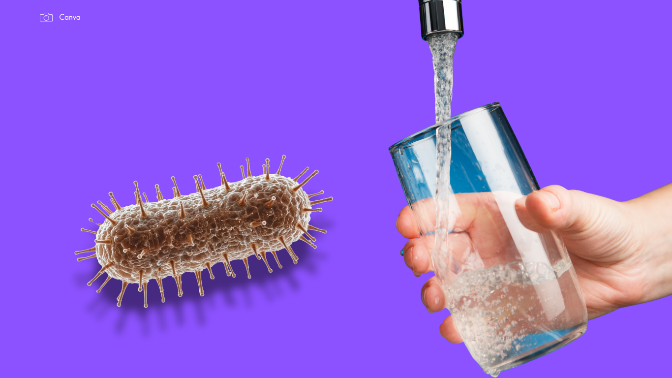 Criză sanitară: Apă otrăvită în rețeaua publică din Prahova