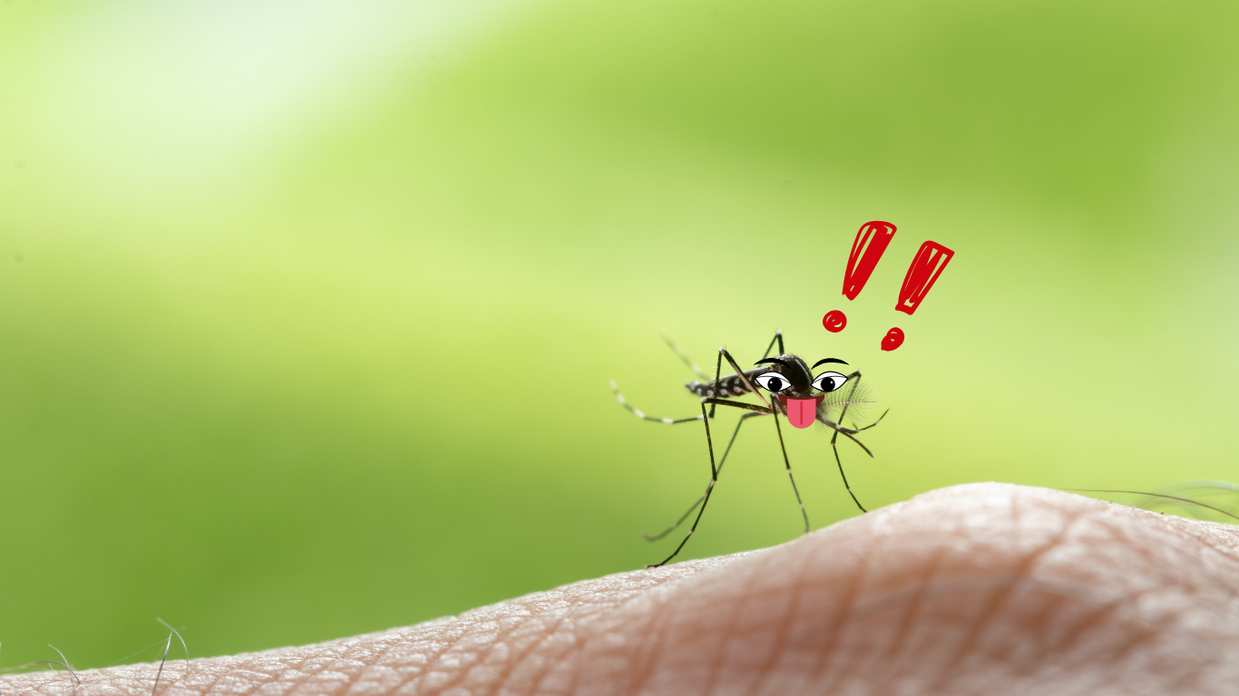 De ce ești fix tu magnet pentru țânțari?