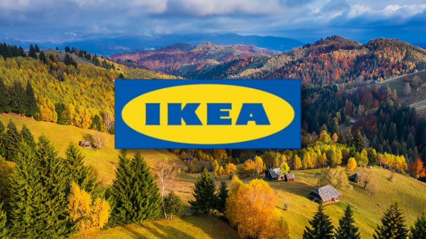 Din Carpați la raft: cum amenință IKEA ultimele păduri ale României