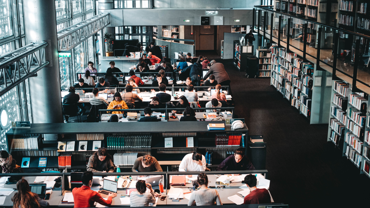 La noi lipsesc profesorii, la Oxford studenții primesc AI gratuit