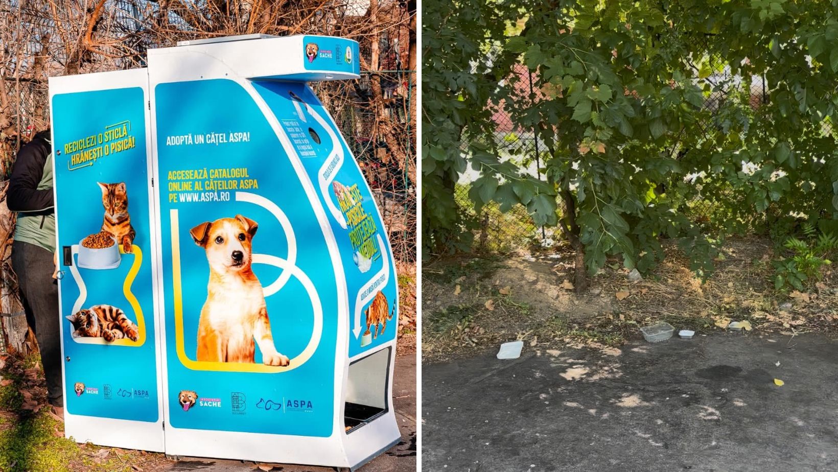 PET-ul tău, masa lor: magia și misterul dispenserelelor pentru pisici