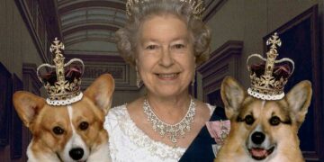 Câinii Reginei Elisabeta rămân în familie, după retragerea titlului prințului Andrew