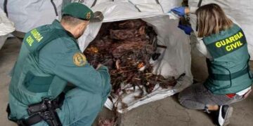 Români reținuți în Spania: au lăsat opt orașe fără semnal telefonic