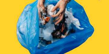 Reciclezi? Uite de ce s-ar putea să reciclezi degeaba