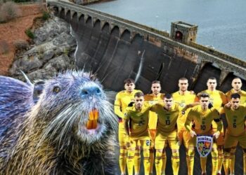 OPINIE | România la barajul pentru CM 2026: de ce calificarea pare o misiune imposibilă