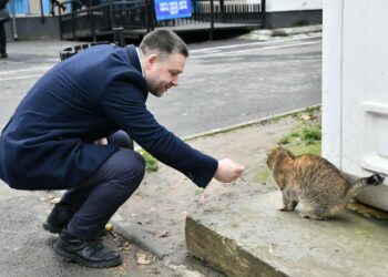 Planurile lui Ciprian Ciucu pentru sportul din București: infrastructură, baze sportive și noi direcții pentru Arena Națională