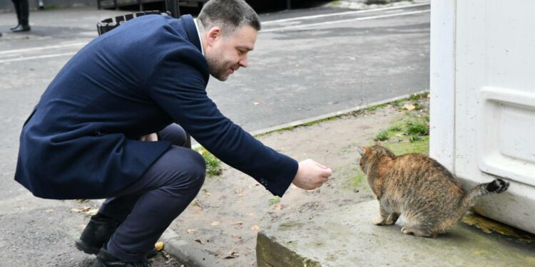 Planurile lui Ciprian Ciucu pentru sportul din București: infrastructură, baze sportive și noi direcții pentru Arena Națională