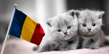 Legea controversată! Câte animale de companie pot locui într-un apartament?