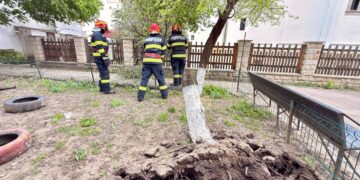 Vânt puternic în România: zeci de localități afectate