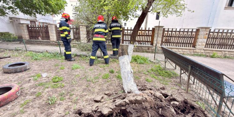 Vânt puternic în România: zeci de localități afectate