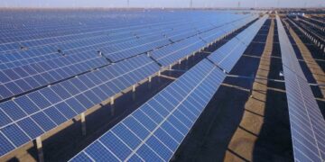 Parc fotovoltaic din Buzău, devastat de hoți: componente de 200.000 de euro furate cu căruța