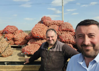 Primărie din Suceava cultivă cartofi pentru masa caldă a elevilor: un proiect unic în România