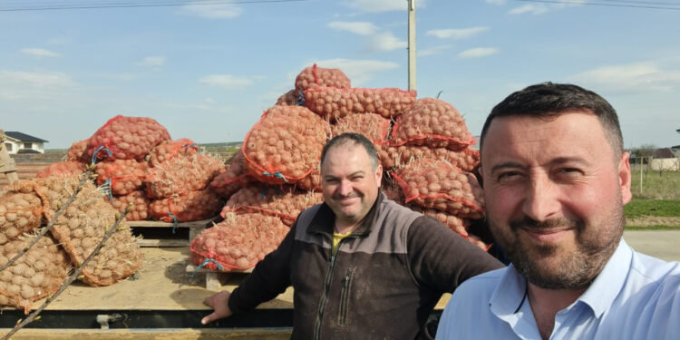 Primărie din Suceava cultivă cartofi pentru masa caldă a elevilor: un proiect unic în România