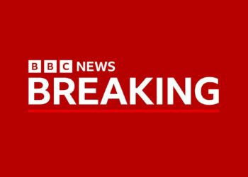 BBC News România se lansează oficial luna viitoare. Platforma va avea și TikTok, Instagram și YouTube