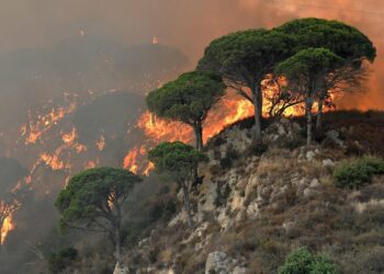 Incendiile de vegetație scapă de sub control în Sicilia
