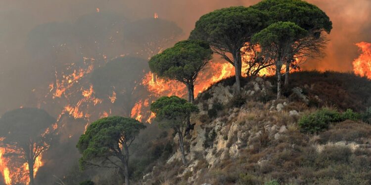 Incendiile de vegetație scapă de sub control în Sicilia