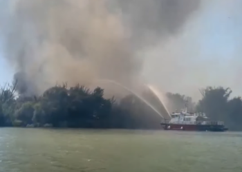 Incendiu puternic în Delta Dunării: 700 de hectare afectate