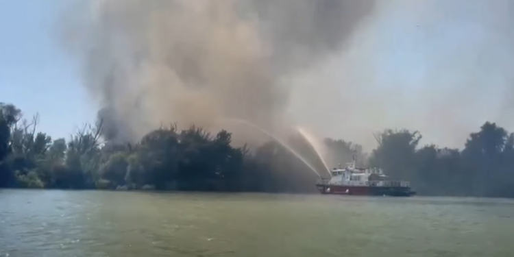 Incendiu puternic în Delta Dunării: 700 de hectare afectate
