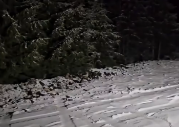 Ninge în România. Drumarii intervin cu utilaje